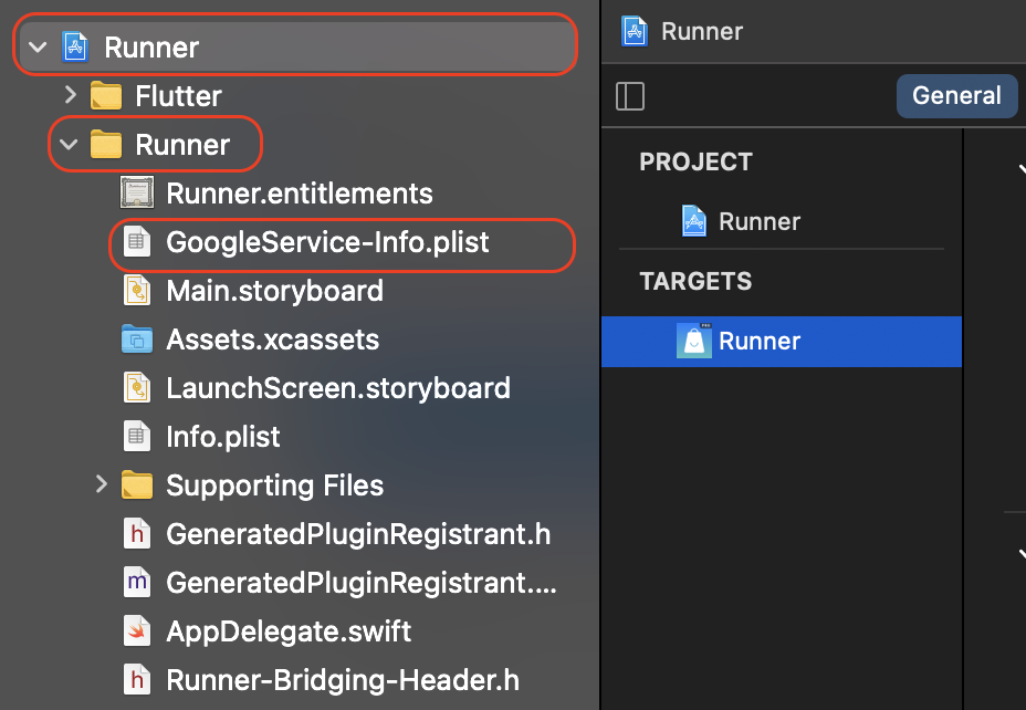 Firebase Setup