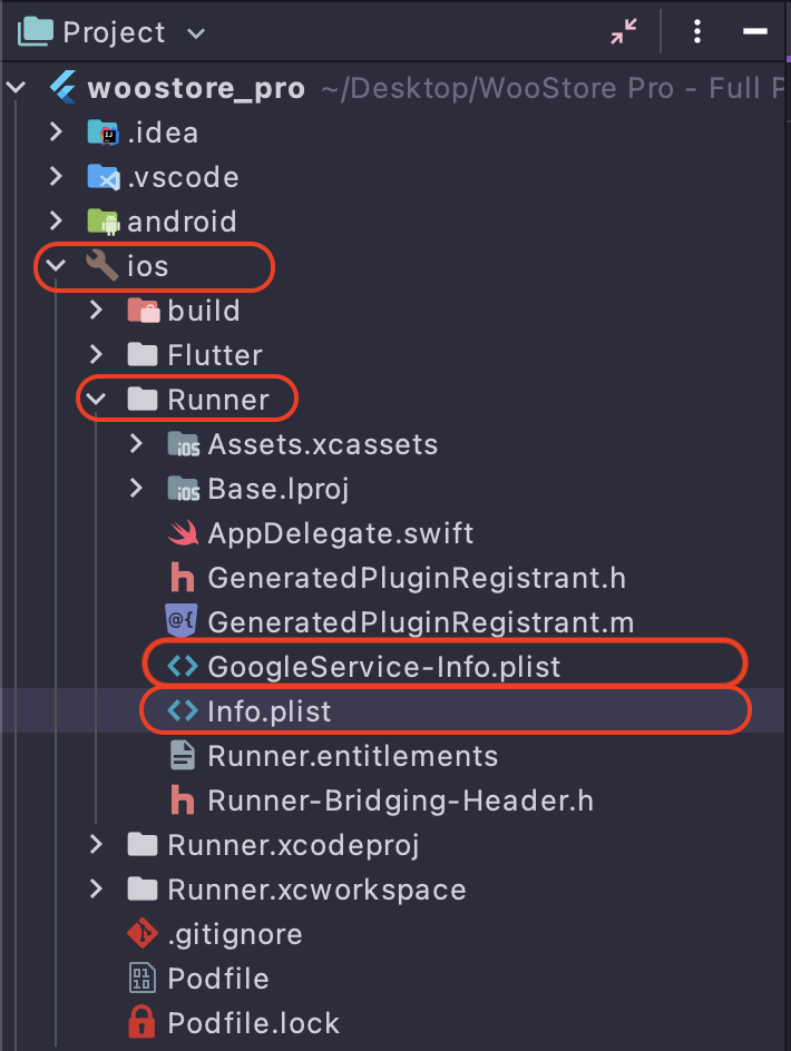 Google Login iOS Setup